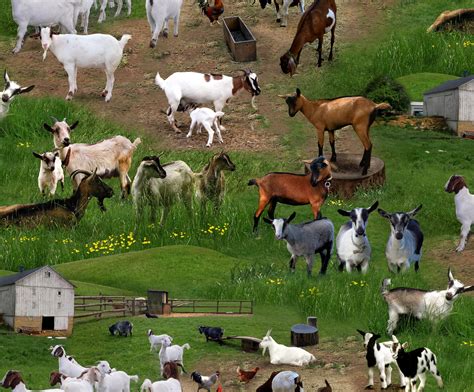 ES-Farm Animals 359 Green - Goats