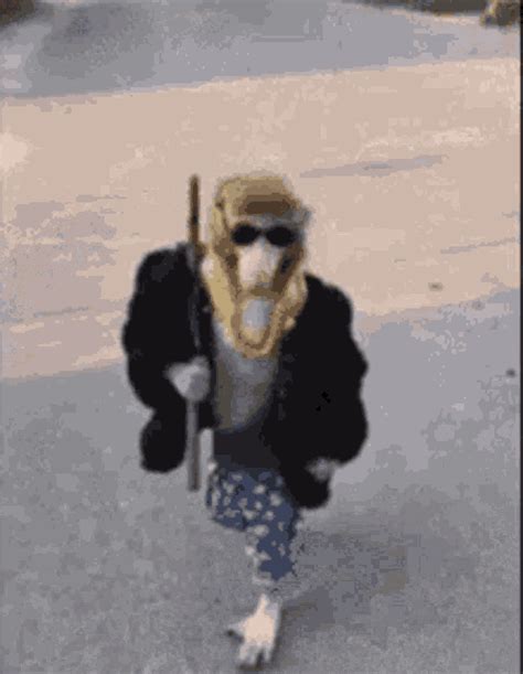 Gangsta Monk GIF - Gangsta Monk - Discover & Share GIFs