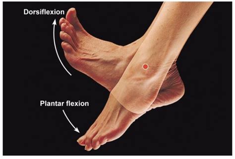 Ankle range of motion and injuries - correct footwear fitting