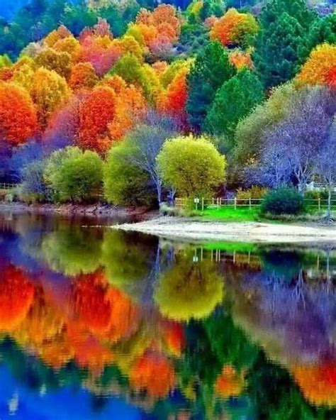 Beautiful Autumn colors | Autumn scenery, Beautiful nature, Beautiful ...