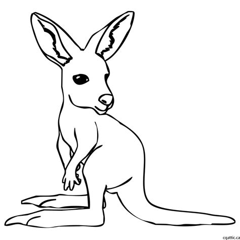 Kangaroo Art Drawing | Drawing Skill