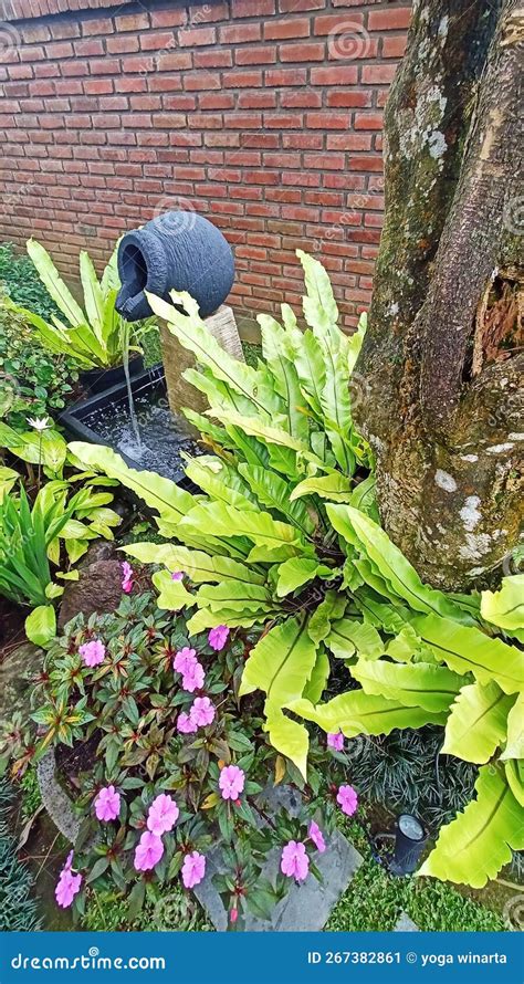 Water Feature in a Small Garden Stock Image - Image of green, pond ...