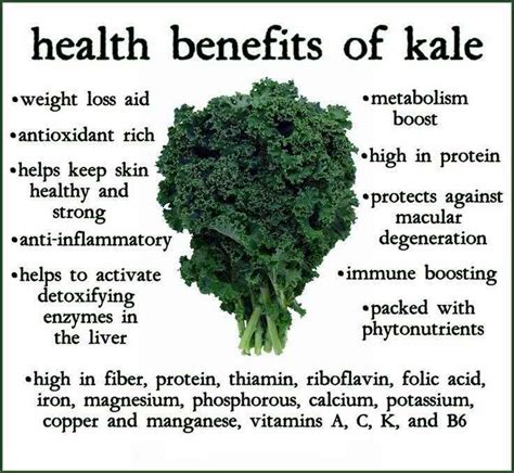 Health Benefits of Kale for Weight loss, Cancer, Arthritis