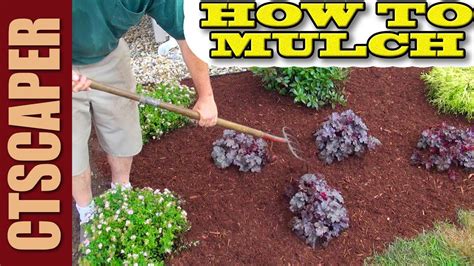 Mulch Landscaping Pictures / Mulch Vs Rock Which Is Best For Your ...