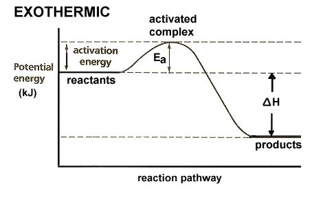 Equilibrium: Endothermic and Exothermic Reactions