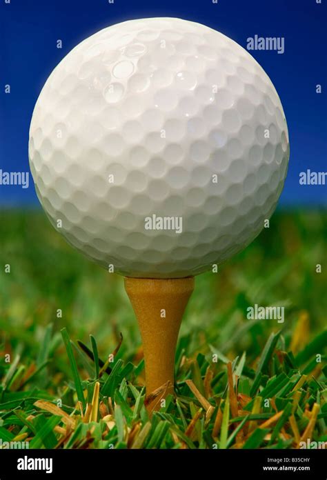 This is a close up of a Golf Ball on a Tee Stock Photo - Alamy