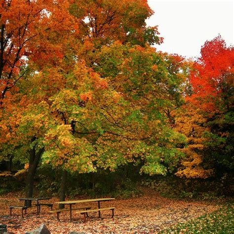 Gorgeous fall colors in Taylors Falls, Minnesota. #OnlyinMN | State ...