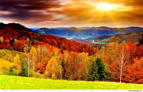 Fall Scenery Wallpapers - Top Free Fall Scenery Backgrounds ...