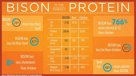 Bison Farming 101: An in-depth Guide on Raising Bisons