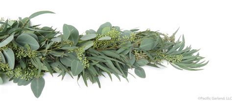 Seeded Eucalyptus Fresh Premium Garland By Pacific Garland - Pacific ...