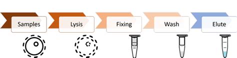 DNA / RNA Extraction - Biomnigene