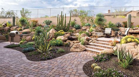 Small Space, Big Impact: Suburban Backyard Transformed Into Desert ...