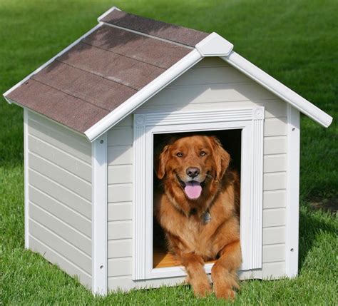 Dog House Designs ~ Explore Amazing World