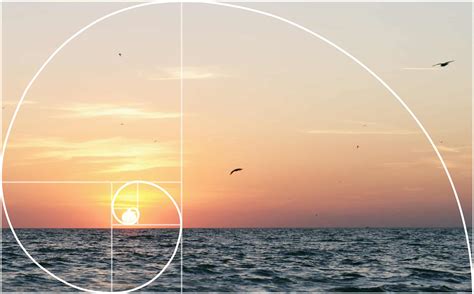 golden ratio photography wikipedia Golden ratio in photography ...