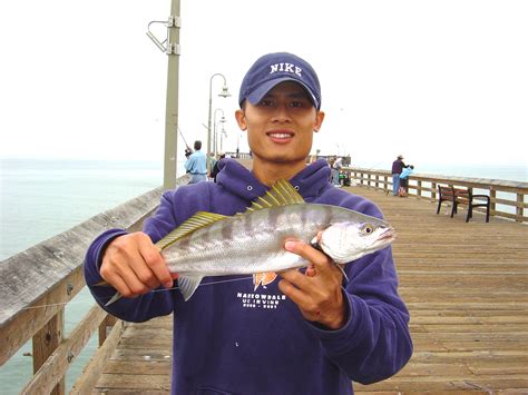 Ventura Pier - Page 2 of 6 - Pier Fishing in California