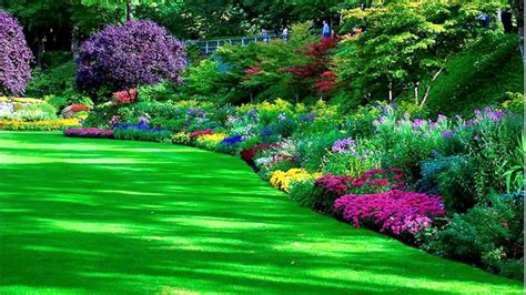 Beautiful Flower Garden HD Wallpaper