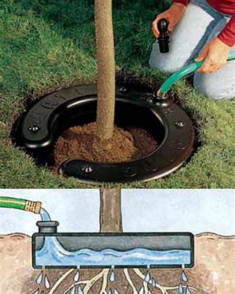 Tree Water Ring | Buy from Gardener's Supply | Outside Space | Garden ...