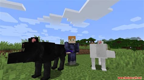 Jujutsu Kaisen Mod Minecraft 1.12.2 - Darryl Marshall