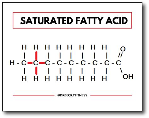 Molecular Diagram Of Saturated Fatty Acid