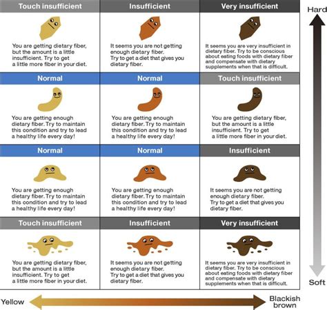 know your health by your poops - Google Search | Stool color chart, Healthy digestive system ...