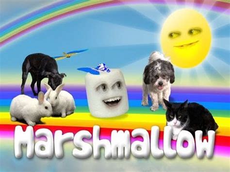 Annoying Orange: Marshmallow Theme Song - YouTube