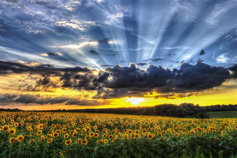 Field of View Photograph by Chris Austin - Fine Art America