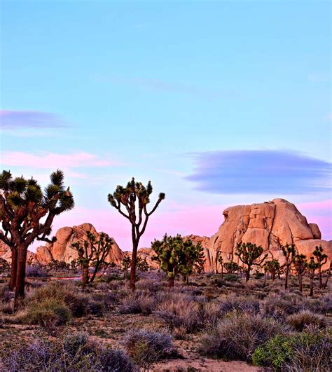 Top Attractions in Tolleson, AZ | Premier Inns Tolleson