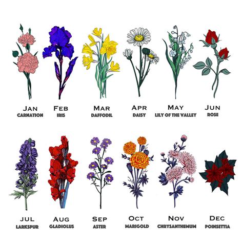 Personalised Choose Your 'birth Flower' Scarf By Studio Hop ...