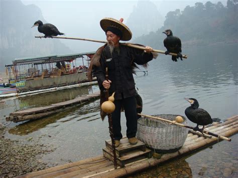 Incredible Things: Cormorant fishing