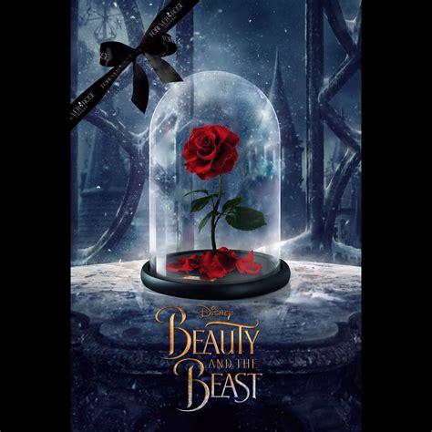 Official Disney Beauty and Beast Rose by Forever Rose London Warning be ...