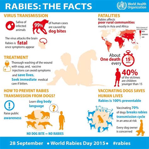 28 September is World Rabies Day. Rabies is 100% preventable, learn how ...