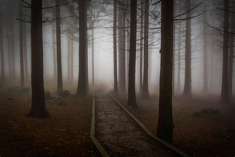 5,000+ Free Spooky & Halloween Images - Pixabay