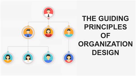 The Guiding Principles of Organization Design - Building Your Website ...