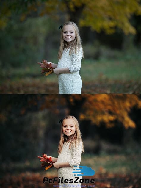 LIGHTROOM PRESETS 2019 Free Download - PCFilesZone