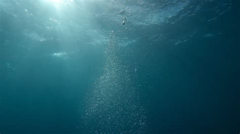 Free Images : 4k wallpaper, bubbles, hd wallpaper, nature, ocean, sea ...