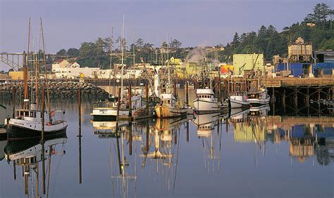 Newport Harbor Oregon Photograph by Buddy Mays