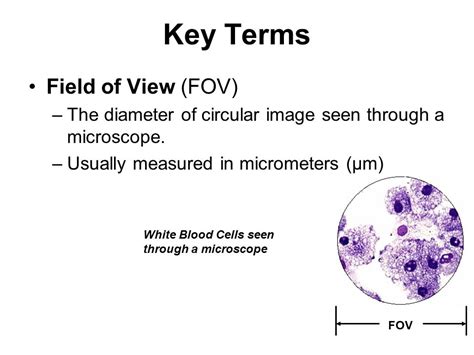 IV - Microscopes - Determining Field of View - Kathy Egbert | Library ...