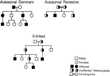 Mendelian Disorders in Humnas - Definition and Examples | Mendel's laws