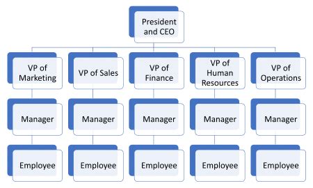 Matrix management organization