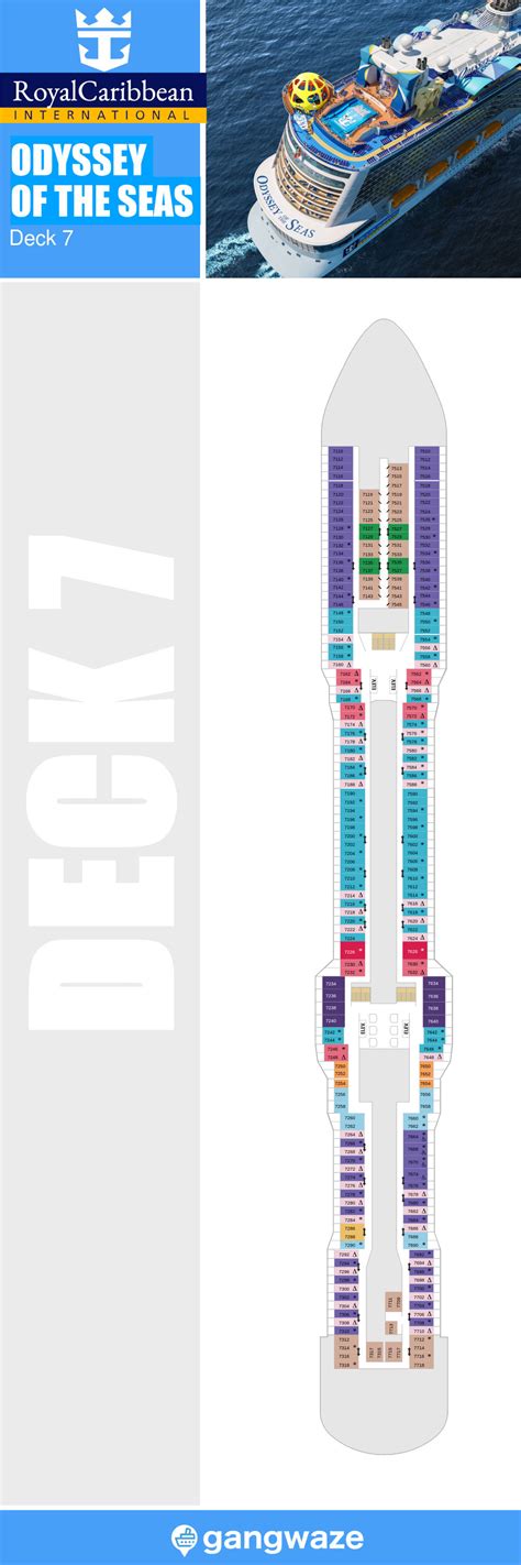 Odyssey of the Seas Deck 7 - Activities & Deck Plan Layout