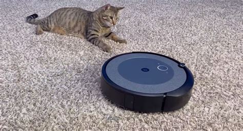 Roomba i4+ EVO Review: Your Ultimate Robotic Cleaning Ally