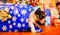 Animal Christmas GIF - Find & Share on GIPHY