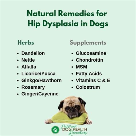 Can Dog Hip Dysplasia Be Cured