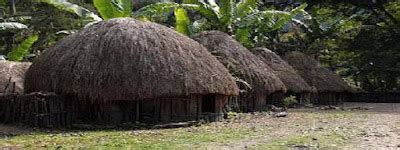 Honai ( typical house of Papua ) Indonesia