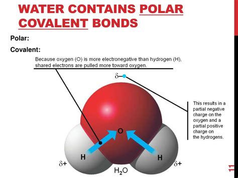 PPT - Water and It’s properties PowerPoint Presentation, free download ...