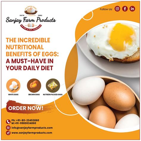 Egg Suppliers in Bangalore | Fresh eggs near me - Sanjay F… | Flickr