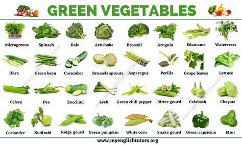 Green Vegetables: List of 31 Types of Vegetables that Have Green Color ...