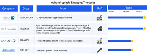 The Frontier of Achondroplasia Treatment: A Search for Cure