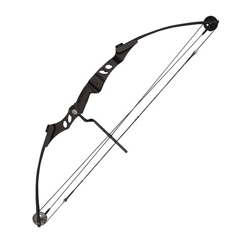 10 Best Compound Bows - Vibration/Noise-Free, Lightweight, and Speedy