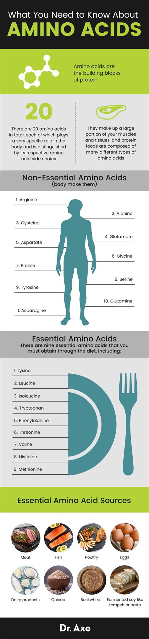 Amino Acids: Benefits, Foods, Essential vs. Non-Essential - Dr. Axe